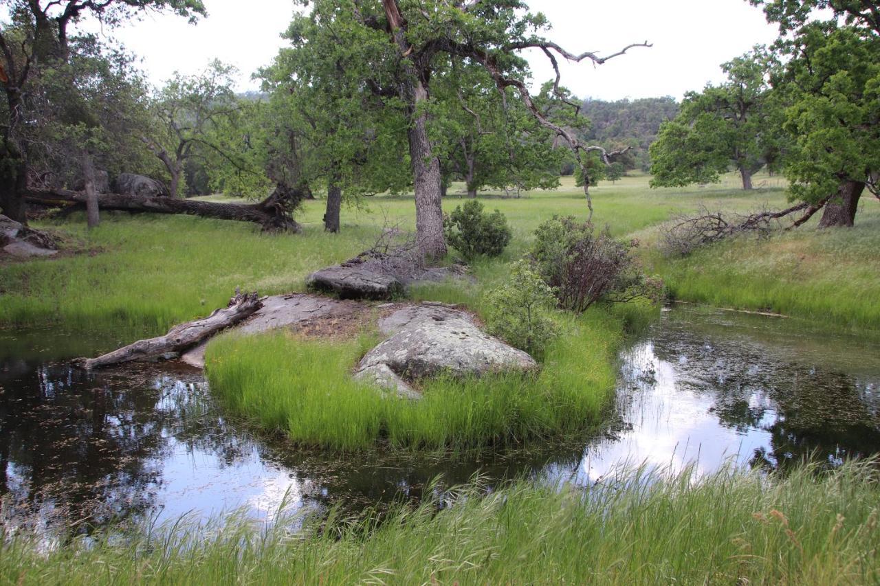 Вілла Casa Mariposa - A Foothill Retreat Near Yosemite Екстер'єр фото